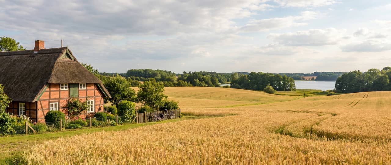 Barnekow