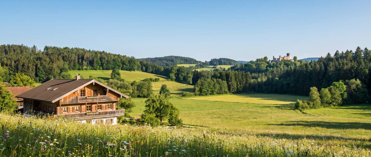Stadlern