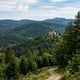Bayerischer Wald