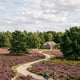 Veluwe